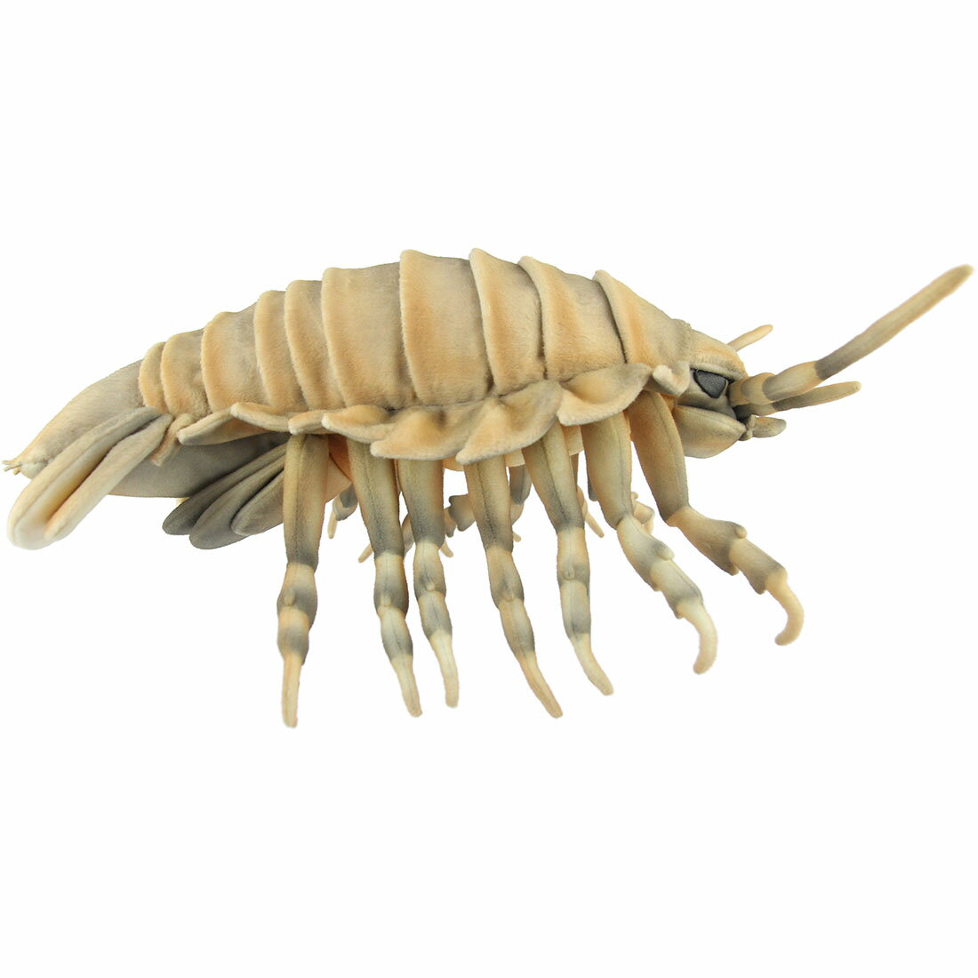 Dog - HANSA BH8577 ダイオウグソクムシ 全長37cm 深海生物 魚 大王具足虫 リアル ぬいぐるみ ハンサ 誕生日 プレゼント 動物 犬 猫 鳥 うさぎ ペンギン アニマル 置物 人形 フィギュア 大きい マスコット 実物大 大型 ビッグ おすすめ かわいい おしゃれ