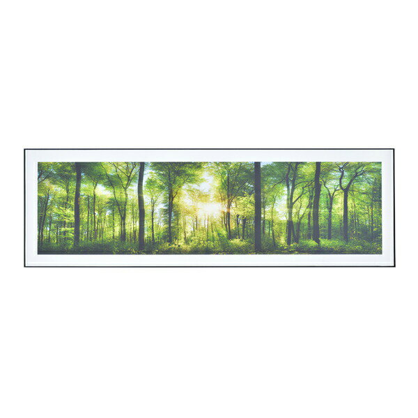 Rakuten - アートパネル ART-201A フォレスト 森林 グリーン 朝日 自然　/　アートパネル 140×45cm ワイド グラフィックパネル デザインボード アート 写真 風景 景色 インテリア 飾り 壁掛け リビング 玄関 モダン おしゃれ