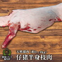 【今なら20%オフ】送料無料 天然猪 仔猪 枝肉 約3kg~4kg前後 牡丹鍋 広島県産 備後地方 いのしし肉 イノシシ肉 自然食 天然食 ぼたん鍋 ボタン鍋 最高級 ジビエ料理 お取り寄せ 人気 鍋セット お鍋 すき焼き ステーキ しゃぶしゃぶ 焼肉