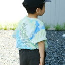 【SALE 10%OFF】THE NORTH FACE(ザ・ノース・フェイス)/S/S NOVELTY BIG ROOT TEE ショートスリーブノベルティビッ...
