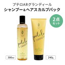 2点セット プテロ AR グランディール シャンプー300ml+ヘア&スカルプパック240g スカルプシャンプー ヘアトリートメント ヘアケア スカルプケア 頭...