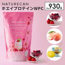 【新フレーバー追加!正規販売店】NATURECAN ホエイプロテイン WPC 900~930g ストロベリーラズベリー 白桃ラッシー 瀬戸内ハニーレモン 30食分 プロテイン配合量最大21g ホエイプロテイン 高タンパク質 低脂質 低カロリー ネイチャーカン 日本製 サプリ