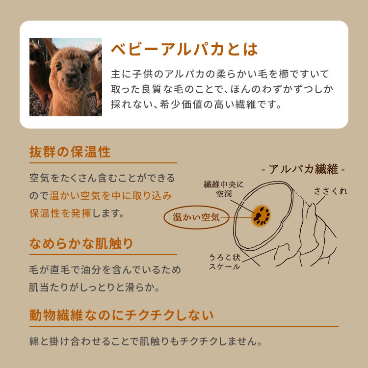 BINOTOKI+の【クーポン発行中】PREMIUM BABY ALPACA アルパカ トリコット ネックウォーマー スヌード 綿 日本製 首元 ボタン付き 冷え対策 温活 保温 柔らかい 手触り 敏感肌 あったか BATO-380｜アングル3