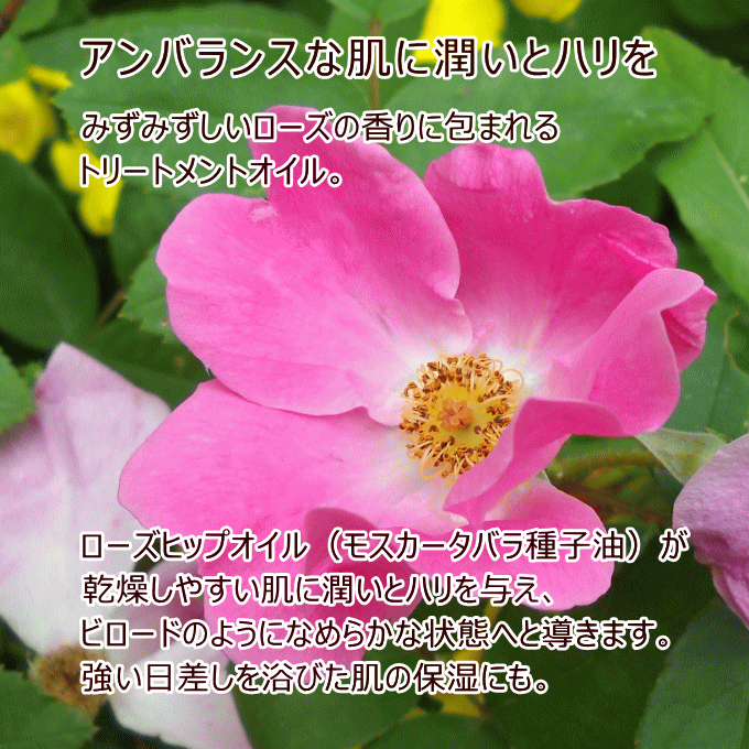 �ڤ��㤤ʪ�ޥ饽��P����10�ܡۥ������ �磻��ɥ����� ������100mL �ڹ��������ʡ� WELEDA �ܥǥ����� �ޥå����� ������ �ϥ� ���뤪�� �ᤤ