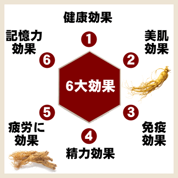 高麗人参【送料無料】一和高麗紅参濃縮液 6年根 紅参精 エキス 100g2個 免疫力 血圧 血糖 高麗にんじん 人参茶 濃縮エキス 朝鮮人参