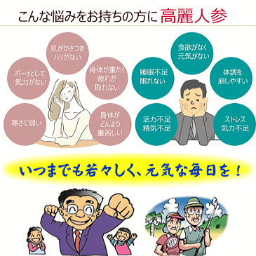 一和高麗人蔘濃縮液300g【国内正規品】人参エキス 糖尿 高血圧 滋養強壮 ダイエット 6年根 免疫