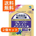 【メール便/送料無料】2個セット小林製薬の栄養補助食品ブルーベリー・ルテイン・メグスリノ木 60粒(約30日分)×2個