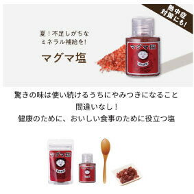 ネコポス・送料無料マグマ塩携帯用30g