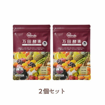 【メール便/送料無料】2個セット【万田酵素】MULBERRY（マルベリー）ペースト分包タイプ77.5g(2.5g×31包)