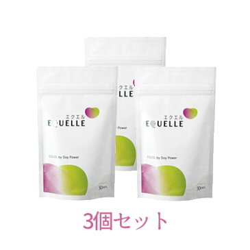 お得な3個セット!【送料無料/ネコポス】エクエル 〈エクオール含有食品〉パウチタイプ 120粒大塚製薬 EQUELLE