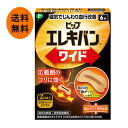 【メール便/送料無料】ピップエレキバン ワイド 6枚