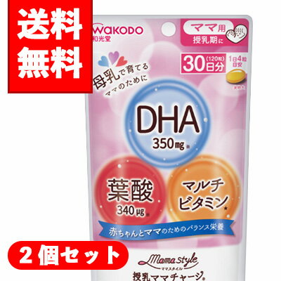 楽天おなかライフ【メール便/送料無料】2個セットママスタイル 授乳ママチャージ（51.6g）