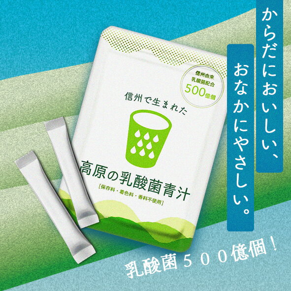 【期限近いため特価!2026年3月】《送料無料》 信州で生まれた、高原の乳酸菌 青汁【100%国産材料使用】3g×20包入り大麦若葉 還元麦芽糖 桑の葉 発酵黒ハチミツ 乳酸菌 植物性乳酸菌 健康 木曽 すんき漬け 国産 おいしい 溶けやすい アレルギー 免疫