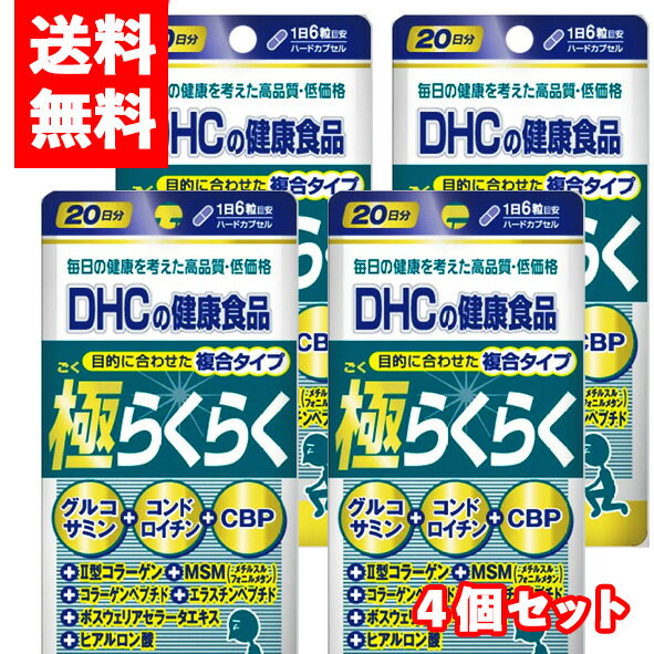 ڥ᡼/̵4ĥåDHC ˤ餯餯20ʬ(120γ)4