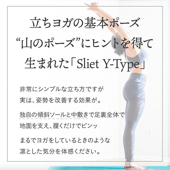 ������̵����Sliet ���ꥨ�å� Y-Type�δ��ȥ졼�˥󥰥���å�