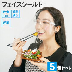 https://thumbnail.image.rakuten.co.jp/@0_mall/biogenics/cabinet/faceshield/foodshieldglass_05.jpg