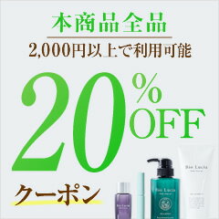 本商品全品20％OFFクーポン