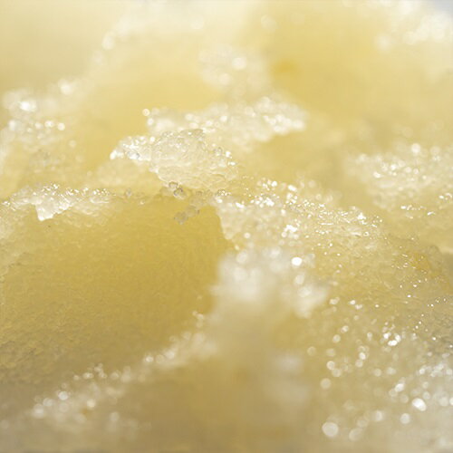 �ڥݥ����5�ܡۡ�giovanni�ۥ���� �ܥǥ�������� ���������� | ����� �ߥͥ�� �������˥å� ��������� �Ѽ� �ϥ� �ܥǥ� �ܥǥ����� ������� �Ҥ� ������ �Ѽ����� ����Ϥ �Х������� ���ե� �ץ쥼���