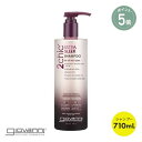【ポイント5倍】【giovanni】2chic スリーク シャンプー ビッグボトル(710mL) ジョヴァンニ | 母の日 オーガニック キューティクル ダメー...