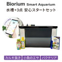 【世界中話題の水槽】初心者に優しい45cm水槽+3点 安心スタートセット オールインワンスマート家電 インテリア 金魚 メダカ ベタ 熱帯魚 観葉植物 癒やしBioriumベーシックアクアリウムセット