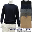 ALESSANDRO LUPPI AbThbs C^A N[lbNZ[^[ Y H~ nCQ[Wjbg ubN  lCr[  O[ O[W OCbVuE x[W ێZ[^[ T  16800-MWT