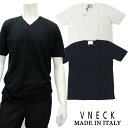 V NECK ブイネック イタリア製 シルク＆コットン Vネック Tシャツ サマーニット メンズ 春夏 イタリアブランド 半袖Tシャツ　≪絹 綿 白 ホワイト 黒 ブラック≫≪ネコポス対応≫14000TB