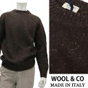 WOOL&CO ≪ウール&コー≫ イタリアブランド イタリア製 ラグランスリーブ クルーネック ウールセーター 秋冬 メンズ イタリア製 ローゲージニット 丸首...
