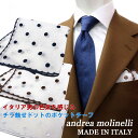 Andrea Molinelli ≪アンドレアモリネッリ≫ イタリア製 ポケットチーフ 麻 リネンポケットチーフ メンズ 白 ドット 水玉 刺繍柄 MADE IN ITALY ≪白 ホワイト ブラウン 茶 ネイビー 紺≫【ネコポス対応 送料無料】9800N