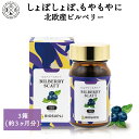 湧永製薬 プレビジョンビルベリー&DHA 120粒×6個セット【コンビニ受取対応商品】