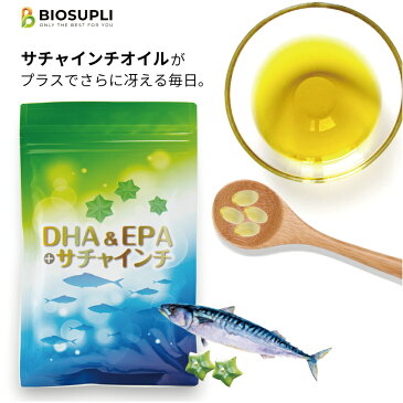 【1000円ポッキリ】DHA&EPA+サチャインチ 120粒(約1か月分)| DHA EPA サプリ サチャインチ サプリメント サチャインチオイル α-リノレン酸 ドコサヘキサエン酸 青魚 子供 子ども 健康食品 オメガ3 オメガ6 オメガ9 栄養補助食品 カプセル ダイエット ビタミンE