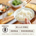 低たんぱく 1/25越後ごはん(180g×20パック)【メーカー直送・送料無料】【あす楽対応】バイオテックジャパン 低たんぱく たんぱく質調整【消費者庁許可 病者用食品 低たんぱく質食品 腎疾患患者用食品】（特別用途 3