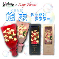 楽天市場 花屋のbiotopビオトープ通販サイト Biotopビオトープ楽天市場店 トップページ 楽天市場 花屋のbiotopビオトープ通販サイト Biotopビオトープ楽天市場店 トップページ