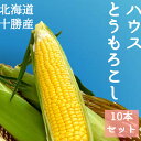 北海道 十勝産 とうもろこし 10本 約4kg めぐみゴールド 2Lサイズ 平均糖度18度超 黄色  ...