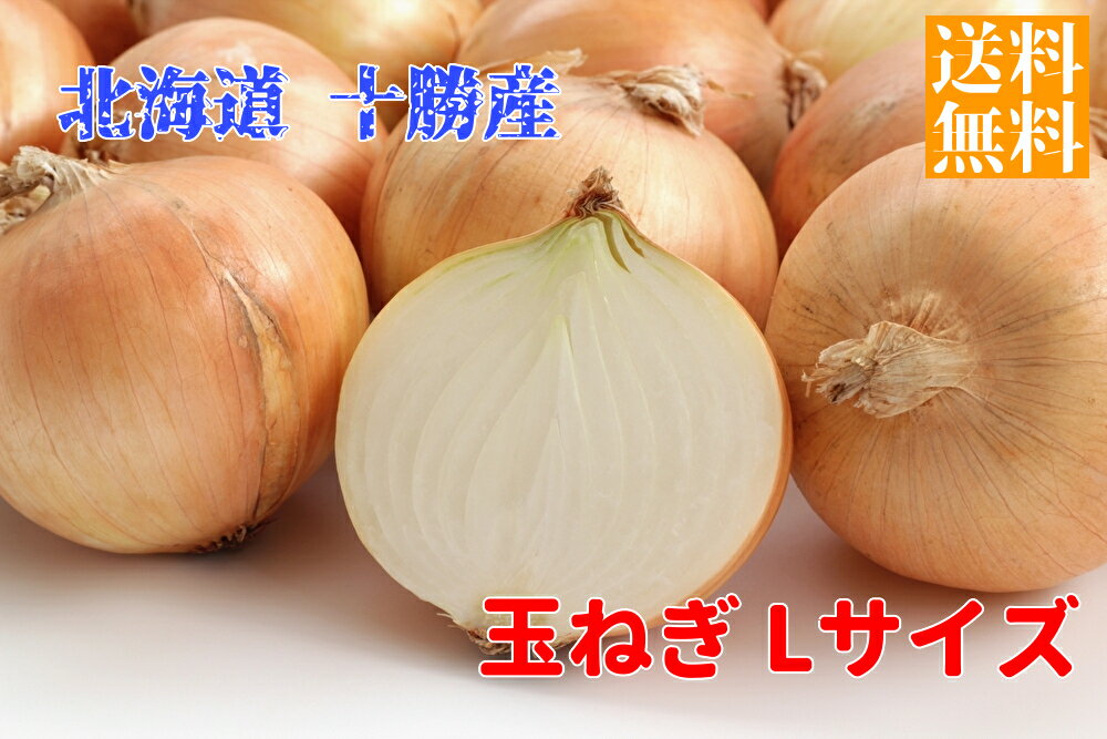 北海道 十勝産 玉ねぎ 10kg Lサイズ 野菜 玉葱 たまねぎ タマネギ 産地直送 送料無料（沖縄 ...