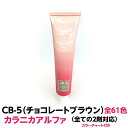 ヘアカラー おしゃれ染 カラニカアルファ CB-5 チョコレートブラウン 120g 大容量 1剤 業務用全ての2剤にも対応できます絵の具感覚で使える簡単ヘアーカラーです理容室 美容室で人気(4)