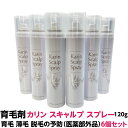 育毛 薄毛 脱毛 発毛 促進 予防カリン スキャルプスプレー 120g 無香料6個セット 養毛剤 医薬部外品血行 を 促進 し 脱毛予防 美しい 髪 を育てる ...