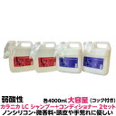 弱酸性 シャンプー コンディショナー ノンシリコン 微香性 ルノン カラニカ LC 各2個 計4個 セット各4000ml 大容量 業務用 コック付きヘアーカラー の色落ちが少ない 弱酸性 処方 ノンシリコン タイプで髪に潤いと自然なツヤを与えます