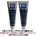 酸性カラー マニュキュア CB-1 ブルーブラック 150g 2個セット ルノン デザイナーズカラー ツヤ 感触が良く 色落ちがしにくい カラー剤 ヘアカラー 1剤式酸性カラー 業務用 プロ用 サロン ヘアカラー ヘアマニュキュア クリーム 色鮮やか 保湿 保護 発色