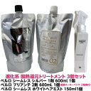 進化系 酸熱 トリートメント ハイブリット ベルロ シームレス シルバー ダメージ毛用 1剤 600ml 1個 + ベルロ ブリアンテ 2剤 600ml 1個 + ベルロ シームレス ホワイトヘアミスト 150ml 1個 計3個セット 縮毛矯正 軽いクセ毛 はね毛 パサつき うねる(4)