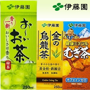 伊藤園 250ml×24本入 (送料無料) お茶（お～いお茶緑茶 健康ミネラルむぎ茶 金の烏龍茶）紙パック テトラ 麦茶 ウーロン茶 おーいお茶 緑茶