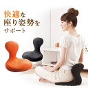 骨盤座椅子 凛座 (送料無料) 座椅子 骨盤 ストレッチ 下半身 腰椎 猫背 背筋 横隔膜 歪み 補正 矯正 リクライニング 在宅 テレワーク 勉強 敬老の日 ...