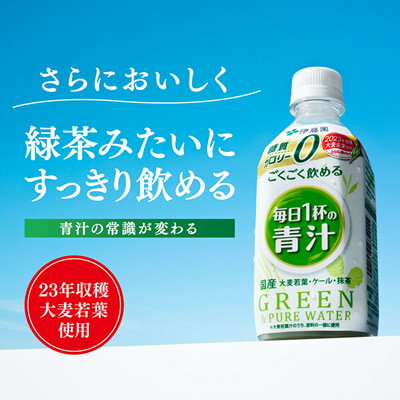 伊藤園 ごくごく飲める 毎日1杯の青汁 PET 350g×24本 (送料無料) 青汁 国産素材 食物繊維 大麦若葉粉末 抹茶 ケール粉末 2