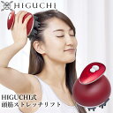 HIGUCHI式 頭筋ストレッチリフト (送料無料) ヘッドスパ 頭皮ケア スカルプ フェイスライン リフト 美顔器 美髪 トリートメント 樋口賢介 ひぐち式 引き上げ つまみ上げ 頭筋 表情筋(2)