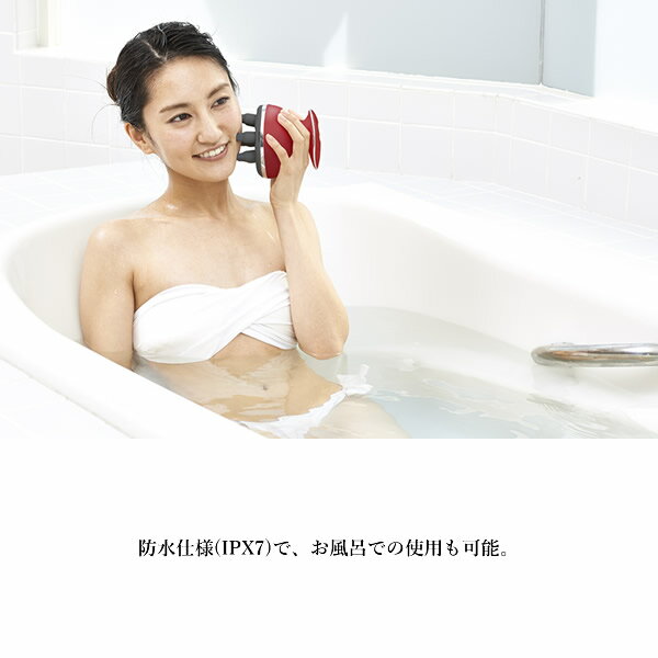 HIGUCHI式 頭筋ストレッチリフト (送料無料) ヘッドスパ 頭皮ケア スカルプ フェイスライン リフト 美顔器 美髪 トリートメント 樋口賢介 ひぐち式 引き上げ つまみ上げ 頭筋 表情筋