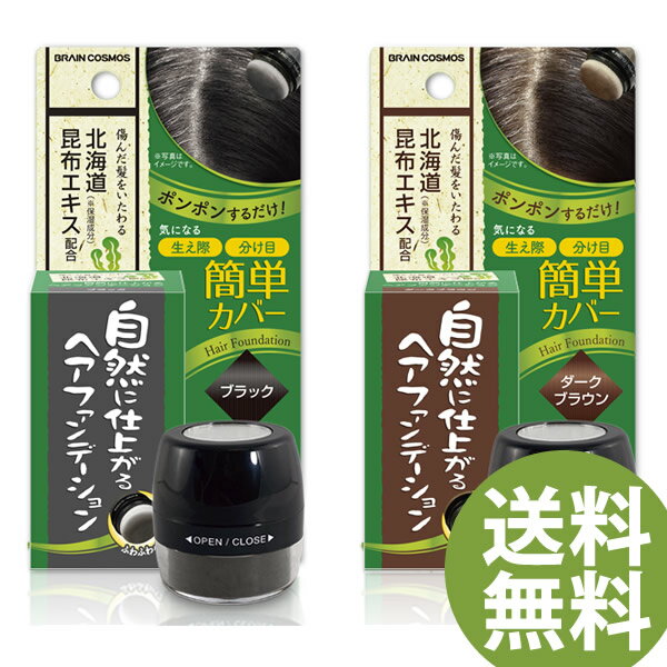 自然に仕上がるヘアファンデーション (定形外郵便送料無料) 薄毛 白髪 隠し カバー 円形脱毛 利尻昆布エキス配合 ヘアファンデーション 生え際 分け目 部分染め ヘアカラー 白髪染め