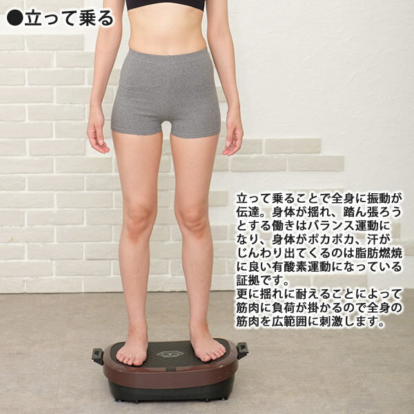 【おまけ付き】ライフフィット トレーナー2Wayスマート (送料無料) 筋トレ 有酸素運動 トレーニング 振動 バランス運動 ながら運動 エクササイズ 円座クッション コンパクト