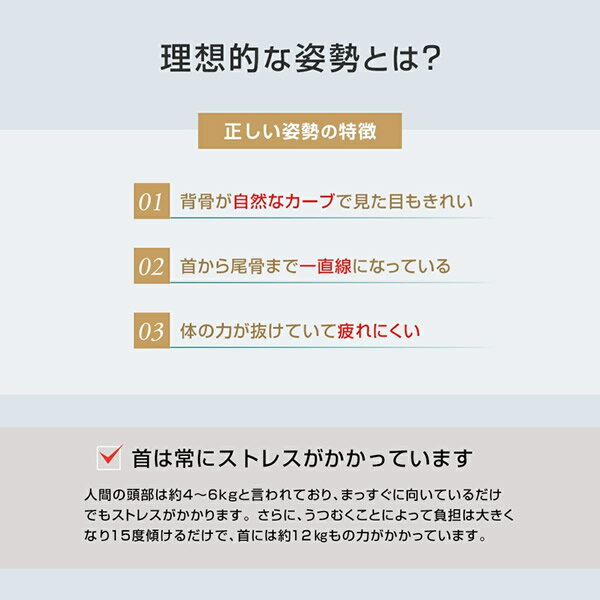 【おまけ付き】【正規販売店】ウェルスポ リラクビー (全国一律送料無料) 首トレ ...
