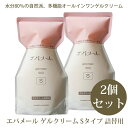 エバメール ゲルクリーム Sタイプ 500g 詰替用 2個セット (送料無料) evermere オールインワンゲルクリーム 詰替え レフィル 交換