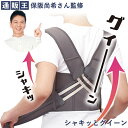 シャキッとグイーン (送料無料) 可動式 クロスベルト 腰ベルト 引き締め 保阪流 保阪尚希 美姿勢 美ボディ くびれ筋 背すじ 肩 腰 みぞおち サポート 男女兼用(4)