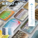 さかなかるた (メール便送料無料) かるた 魚 知育 カードゲーム 玩具 教育 おもちゃ お風呂 人気 知育玩具 さかなかるた 学習 生き物 千葉印刷
